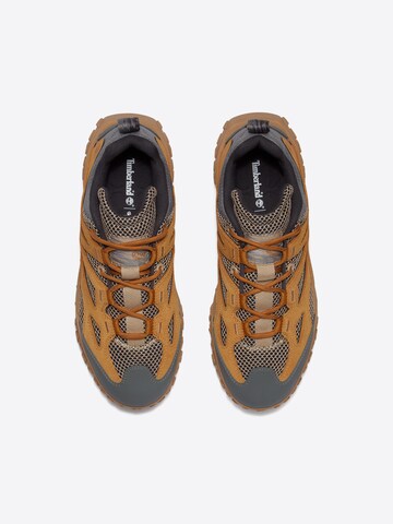 Baskets basses TIMBERLAND en marron