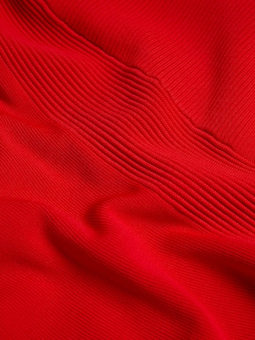 Ted Baker Klänning 'Oliviha' i röd