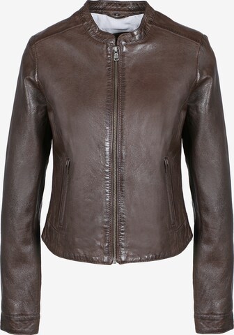 FREAKY NATION Between-Season Jacket ' Bea-FN ' in Brown: front