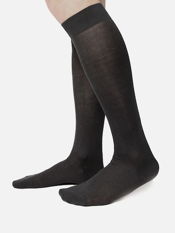 Ciocca Knee High Socks in Mixed colors