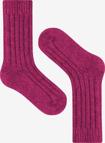 normani Socken in Pink