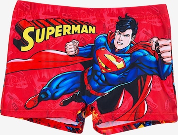 Superman Board Shorts 'Superman' in Red: front