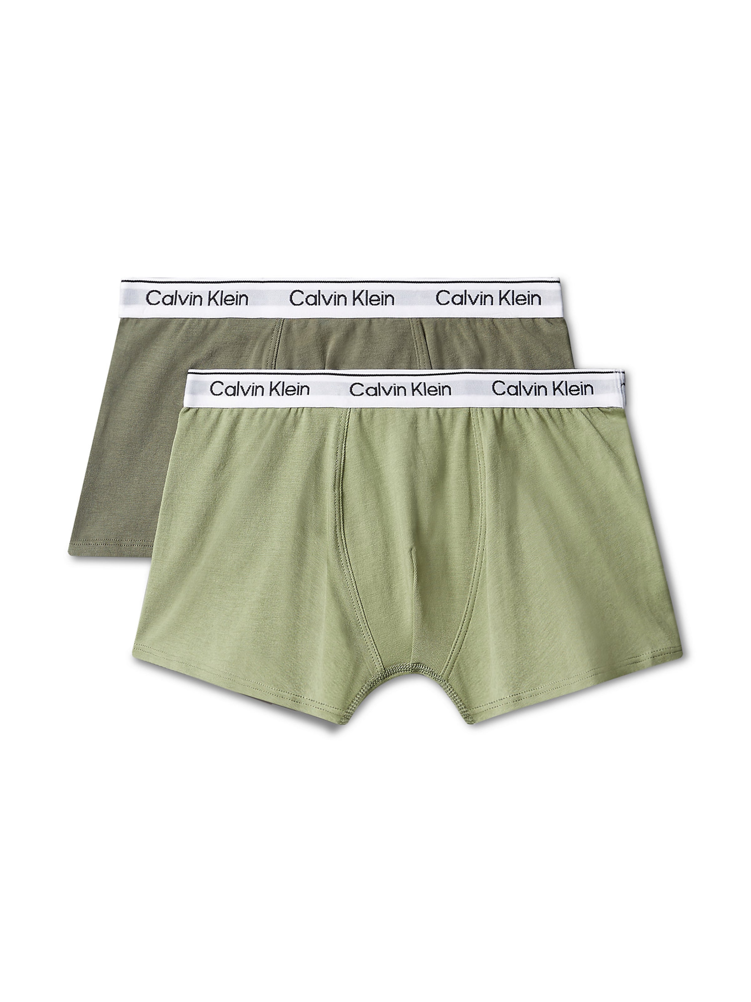 Calvin Klein Underwear Underpants in Green: front