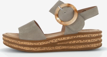 GABOR Strap Sandals in Grey: front