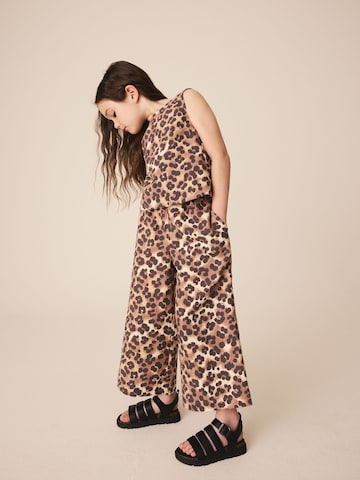 Set Next en marron