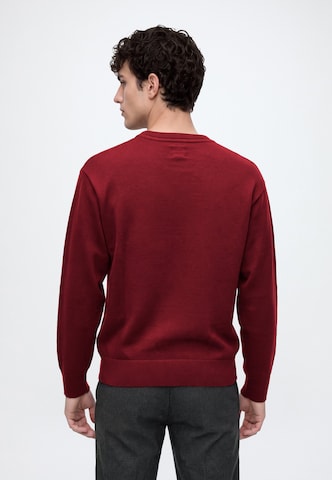 GAP Свитшот 'ATHLETIC' в Красный