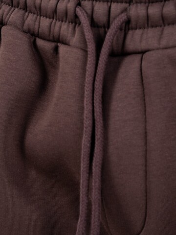 Smilodox Regular Broek in Bruin