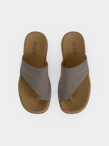 GABOR T-Bar Sandals in Grey
