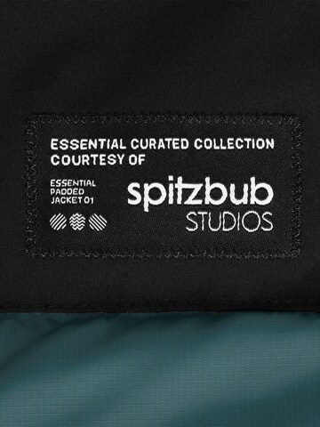 SPITZBUB Winter jacket in Green