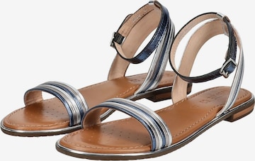 GEOX Sandalen met riem in Blauw