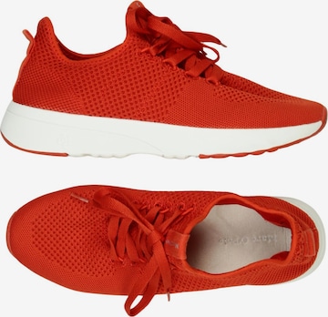Marc O'Polo Sneaker 39 in Rot ABOUT YOU - Main Image