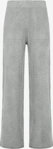 Pantaloni di DEHA in grigio: frontale