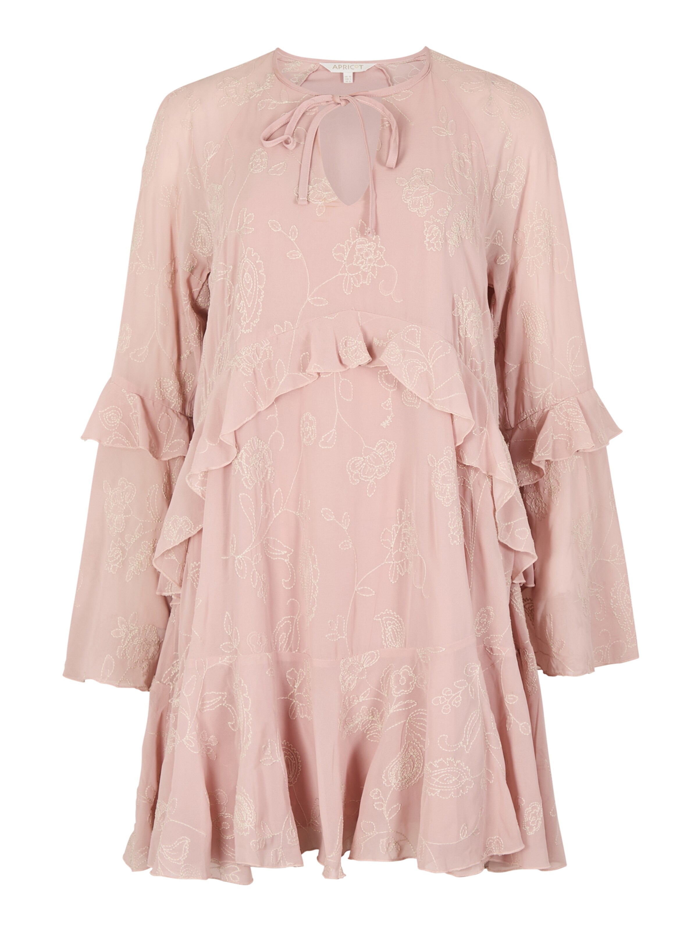 Apricot Floral Embroidered Mini Dress ' ' in Pink: Vorderseite