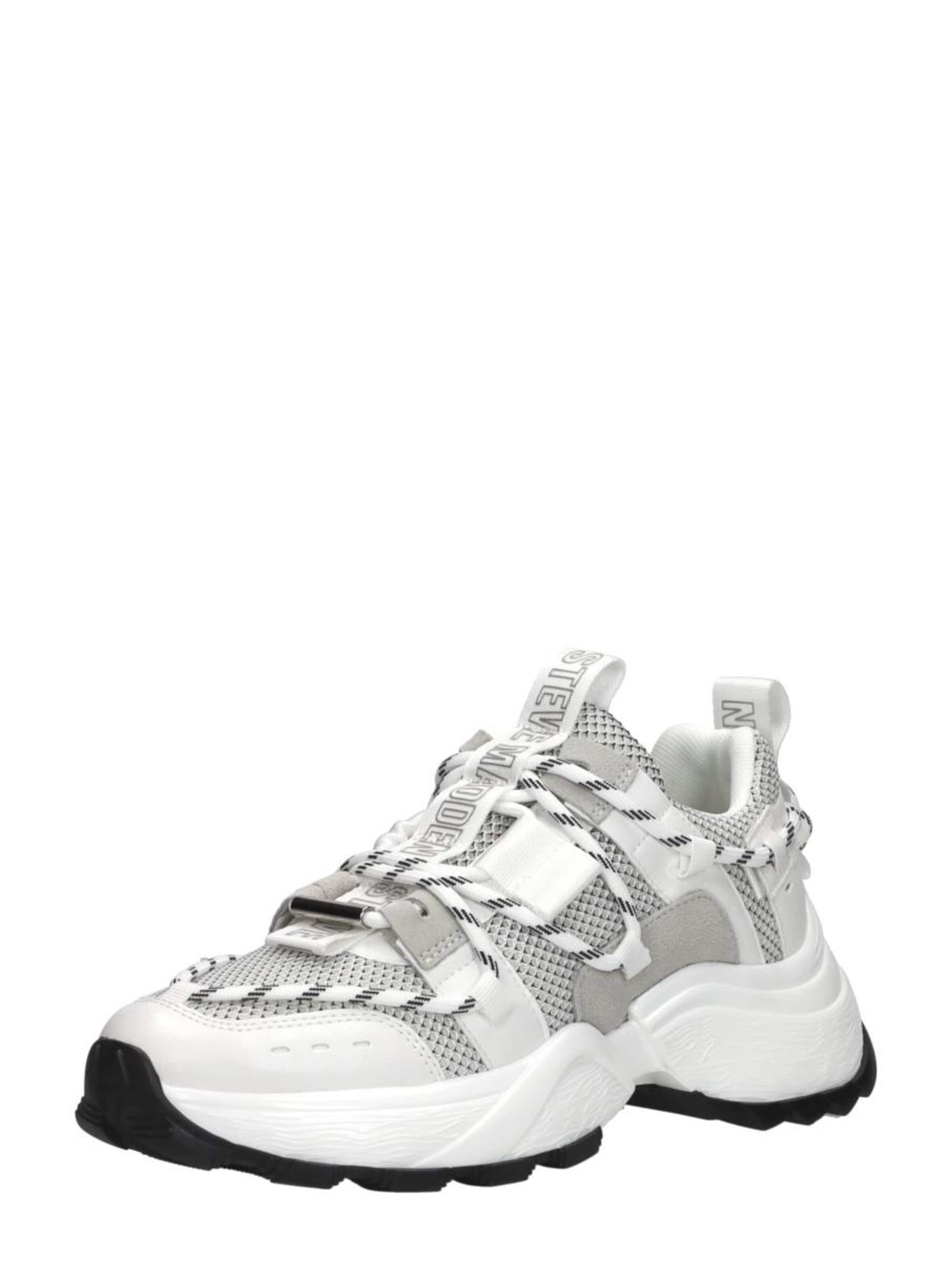 STEVE MADDEN Sneakers 'Tazmania' in White