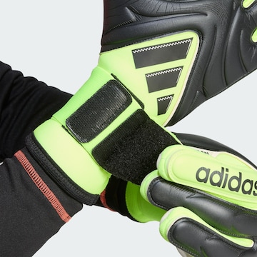 Gants de sport 'Copa Pro' ADIDAS PERFORMANCE en noir