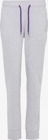 BRUNO BANANI Tapered Pants 'Boyd' in Grey: front