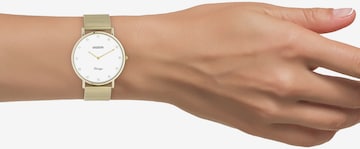 OOZOO Analog Watch in Gold