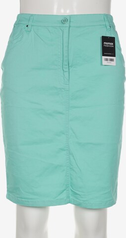 Helena Vera Skirt in XL in Green: front
