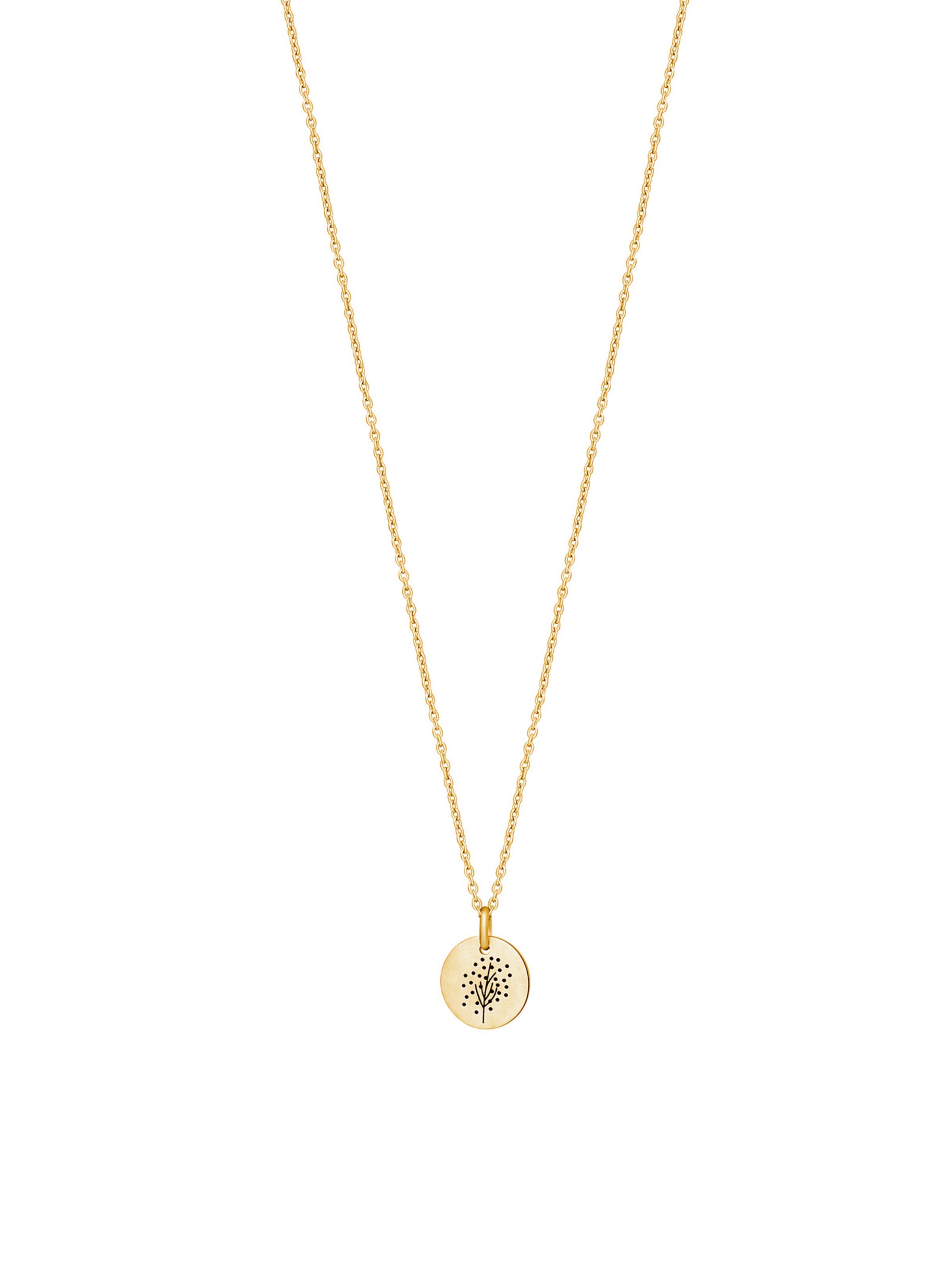 Nordahl Jewellery Kette Life52 in Gold 