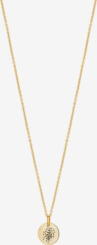 Nordahl Jewellery Kette 'Life52' in Gold: predná strana