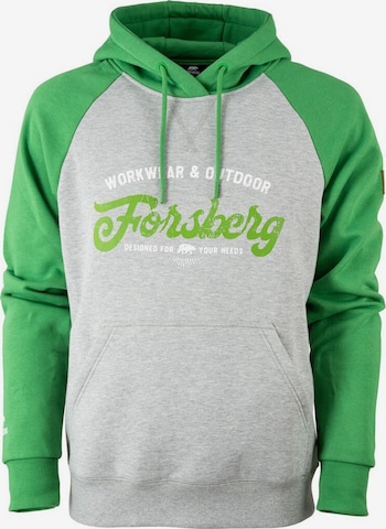 FORSBERG Sweatshirt 'Tonigson' in Grey: front