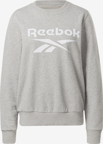 Reebok Sweatshirt in Grey: front