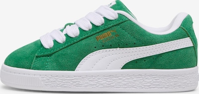 PUMA Brīvā laika apavi 'SUEDE XL', krāsa - Zelts / zaļš / balts, Preces skats