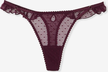 ETAM String 'Surprise S25' in Lila: Vorderseite