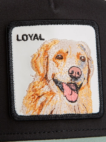 GOORIN Bros. Pet 'The Loyal Dog' in Zwart