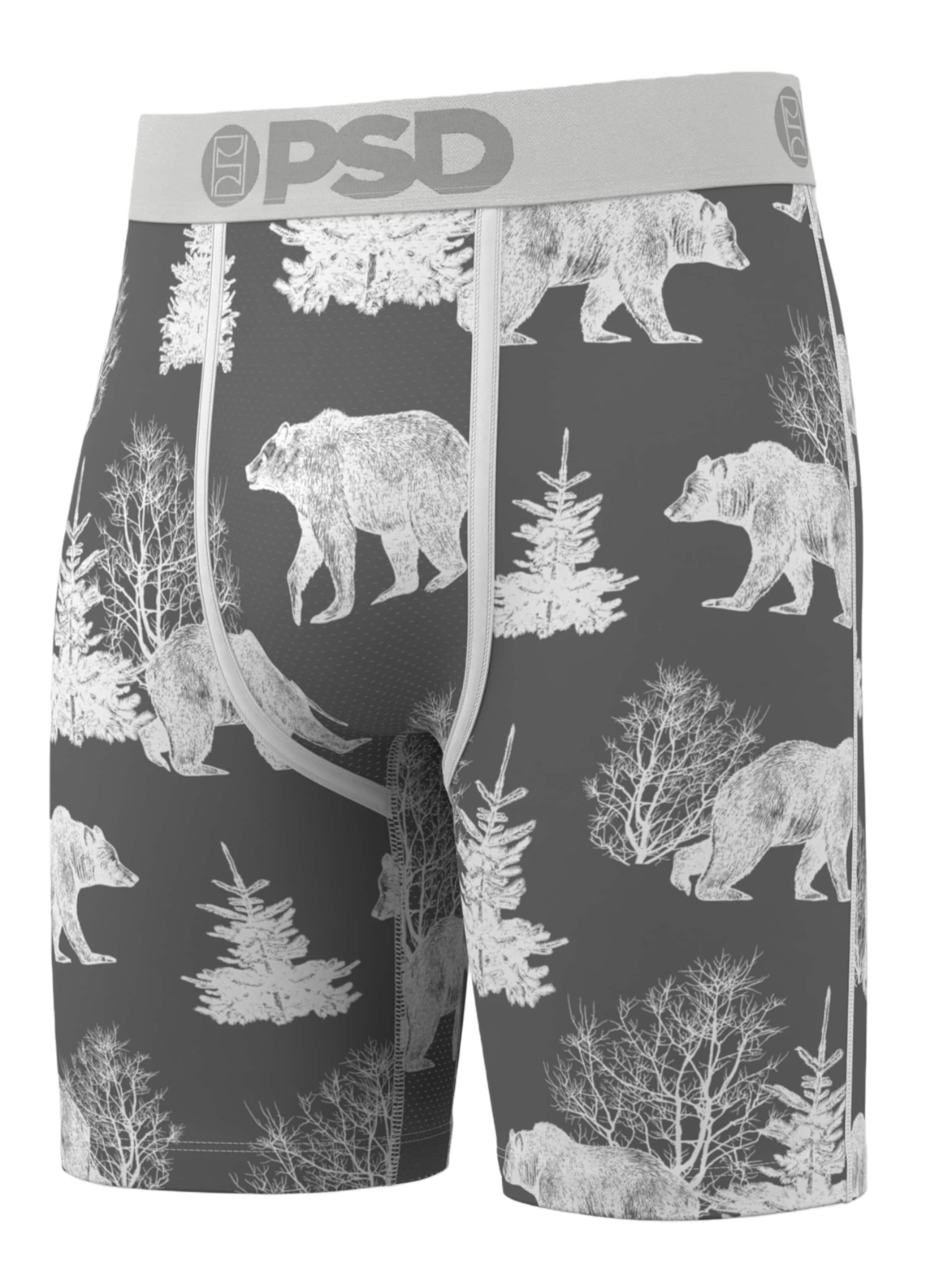 Boxers 'BEAR CHILL' PSD en mélange de couleurs