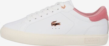 Baskets basses LACOSTE en blanc