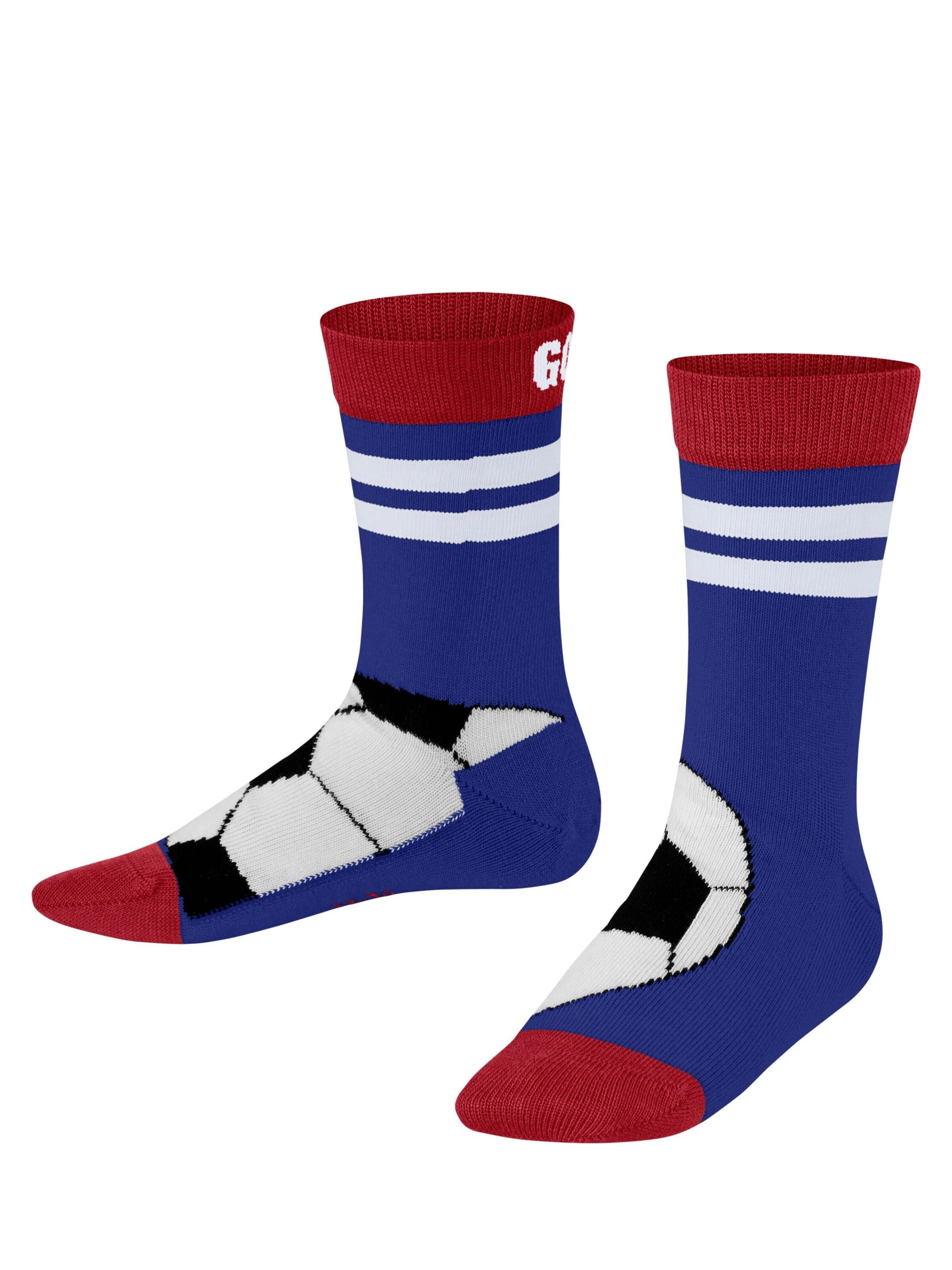 FALKE Socks 'Active Soccer' in Blue: front