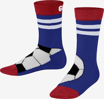 FALKE Socks 'Active Soccer' in Blue: front