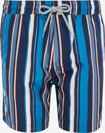 Threadbare Board Shorts 'Bonito' in Blue: front