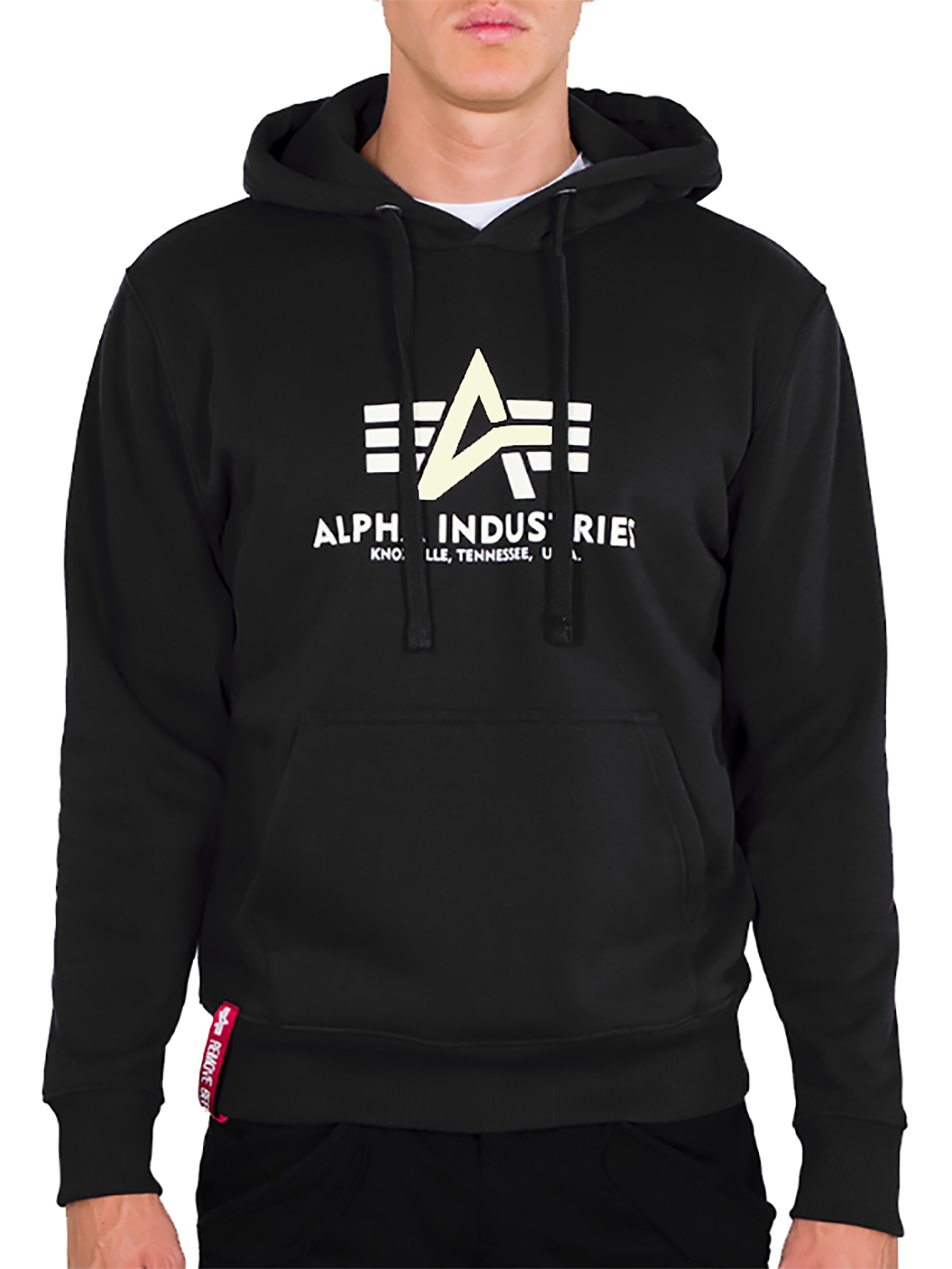 ALPHA INDUSTRIES Sweatshirt 'Basic Kryptonite' in Black: front