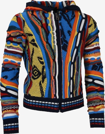 Carlo Colucci Sweater 'Castriotta' in Mixed colors: front