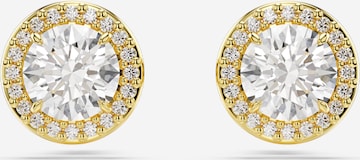 auksinė Swarovski Auskarai 'Una': priekis