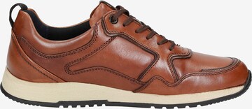 SIOUX Sneaker low ' Rojaro-713 ' in Braun