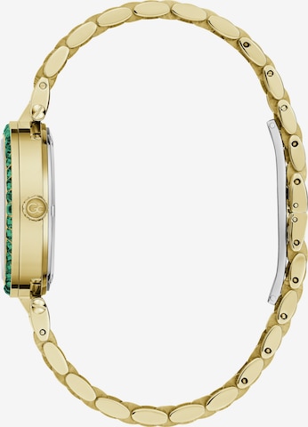 Gc Analog Watch 'Gc Flair' in Gold