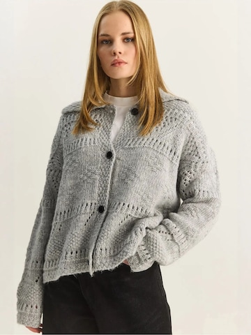 Bianco Lucci Strickjacke 'Strickjacken'‌‌ in Grau: Vorderseite