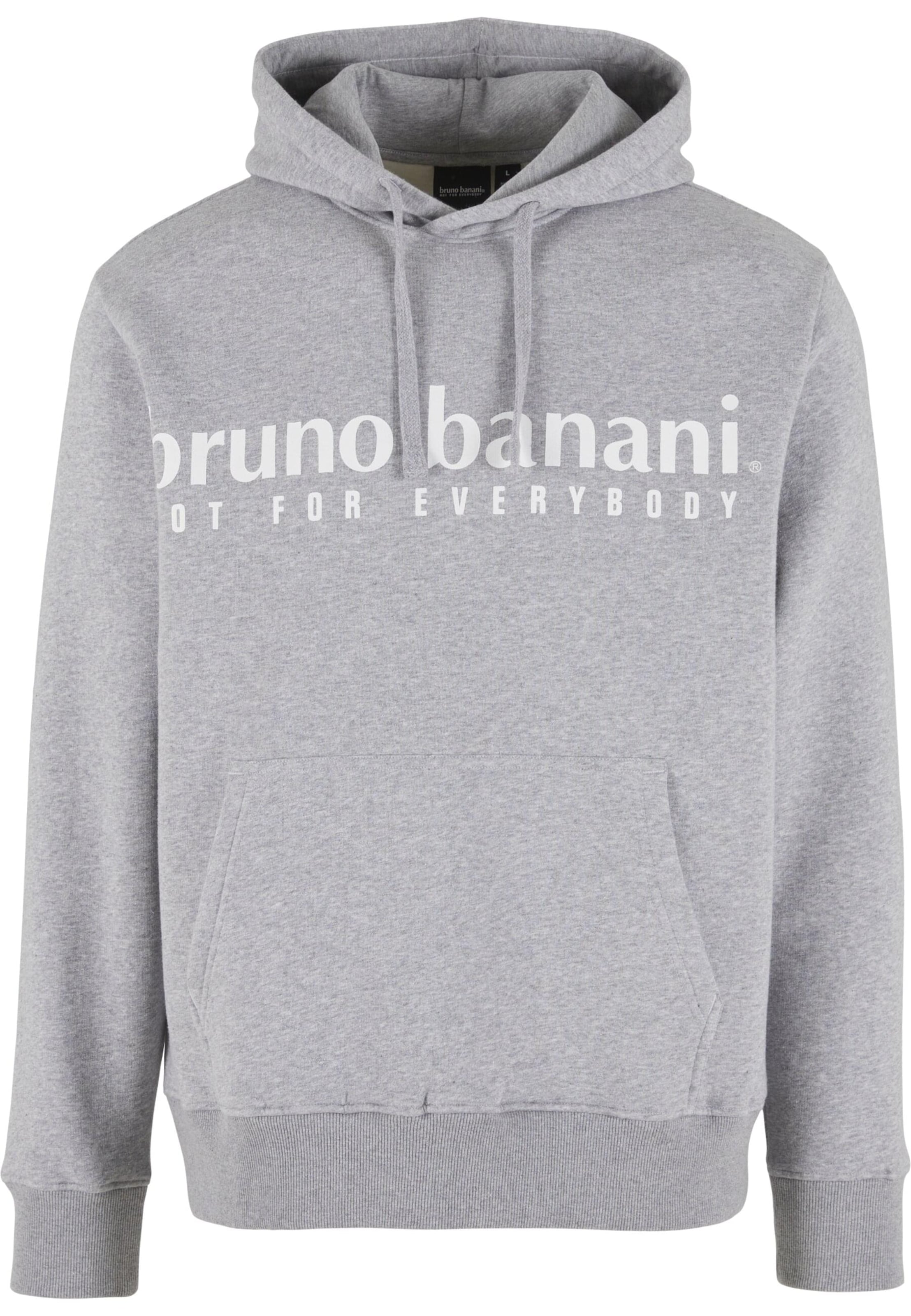 Felpa di Bruno Banani in grigio: frontale