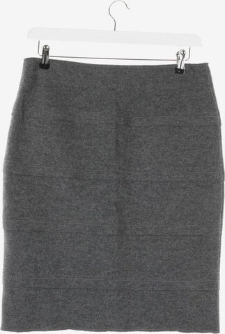 Peserico Skirt in L in Grey