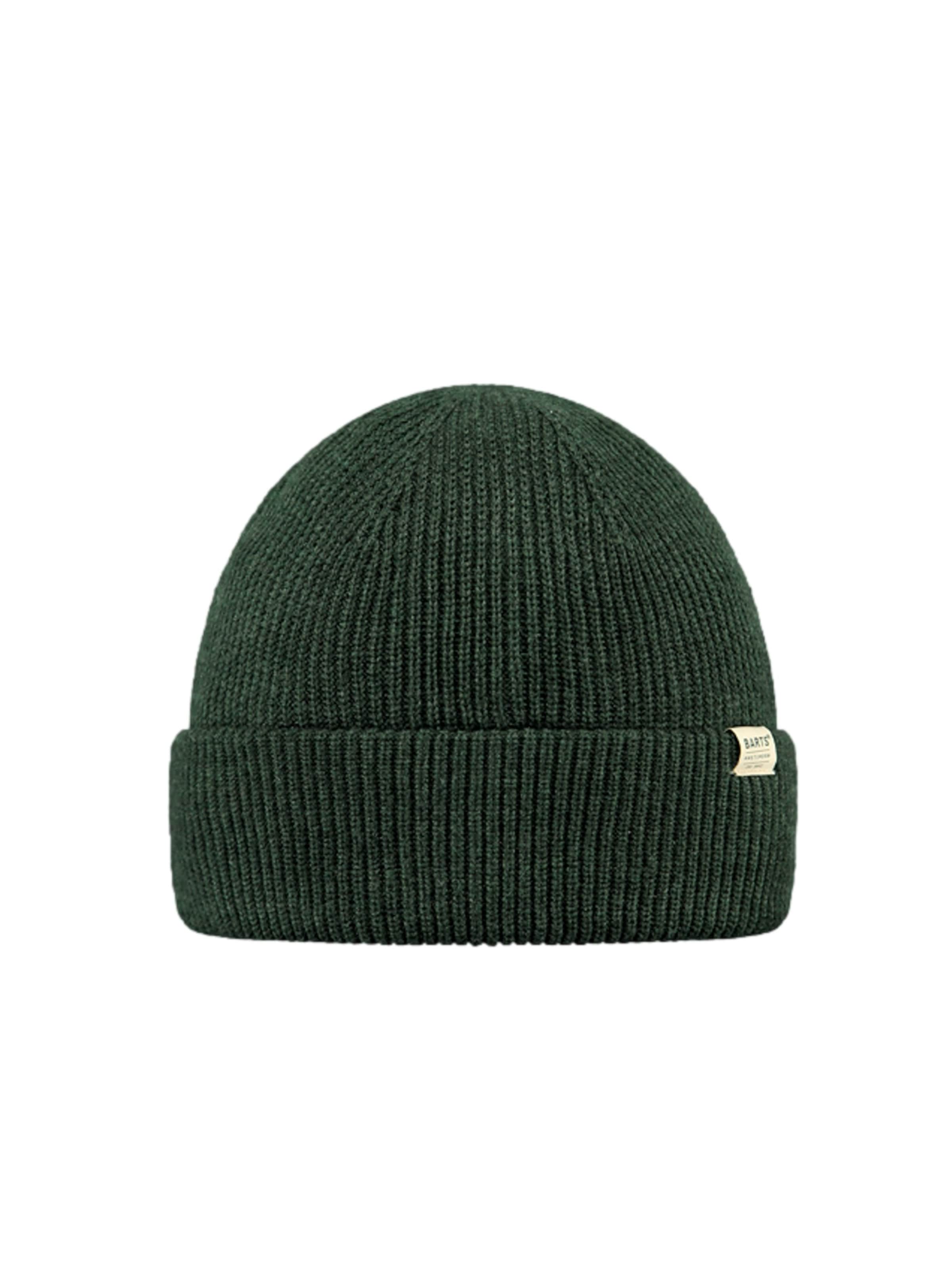 Barts Beanie 'Stonel' in Green: front