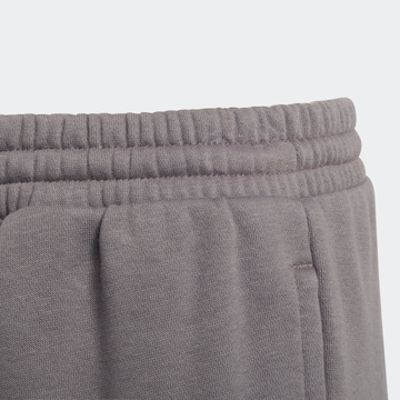 Tapered Pantaloni sportivi 'Entrada 22' di ADIDAS PERFORMANCE in grigio