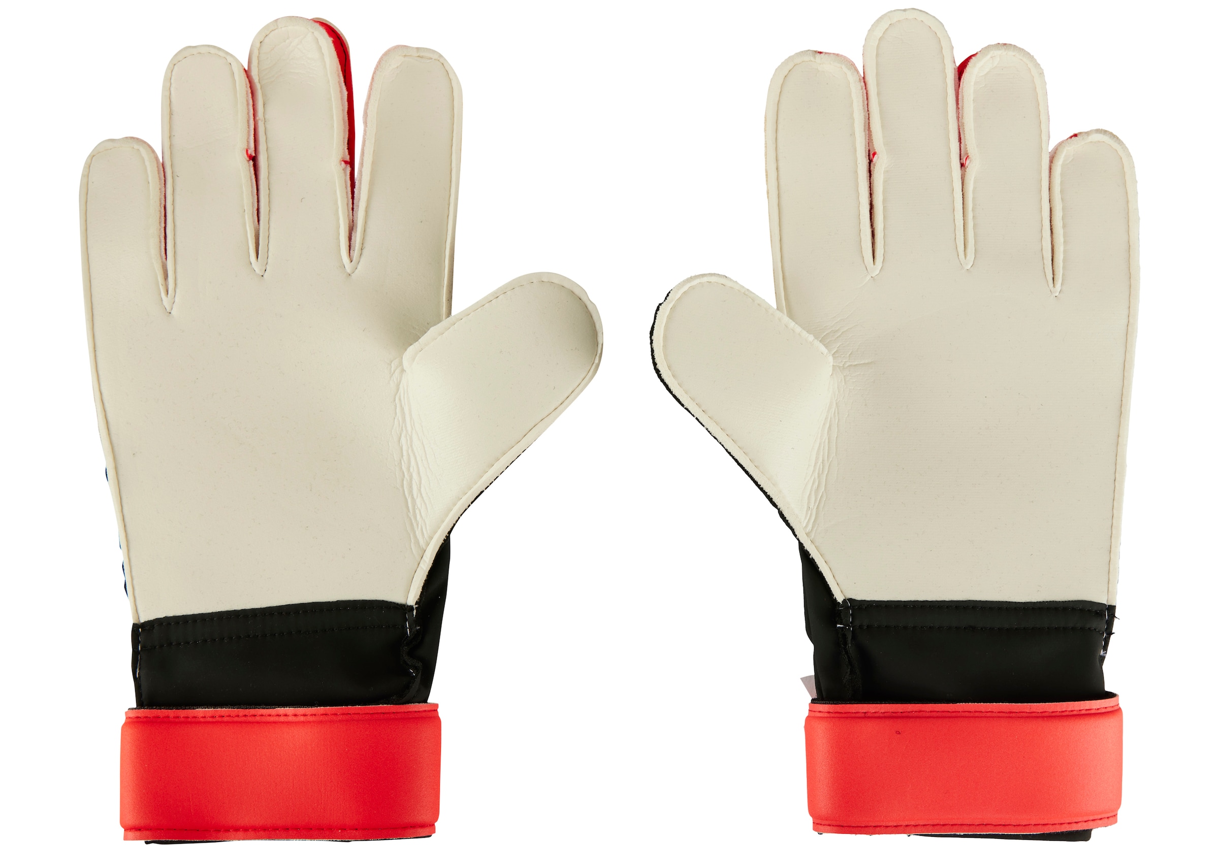 ADIDAS PERFORMANCE Torwarthandschuhe in Schwarz