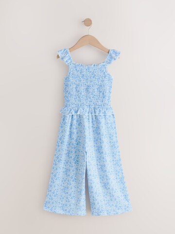 Next Overall in Blau