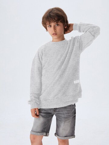 LTB Pullover 'Yenata' in Grau