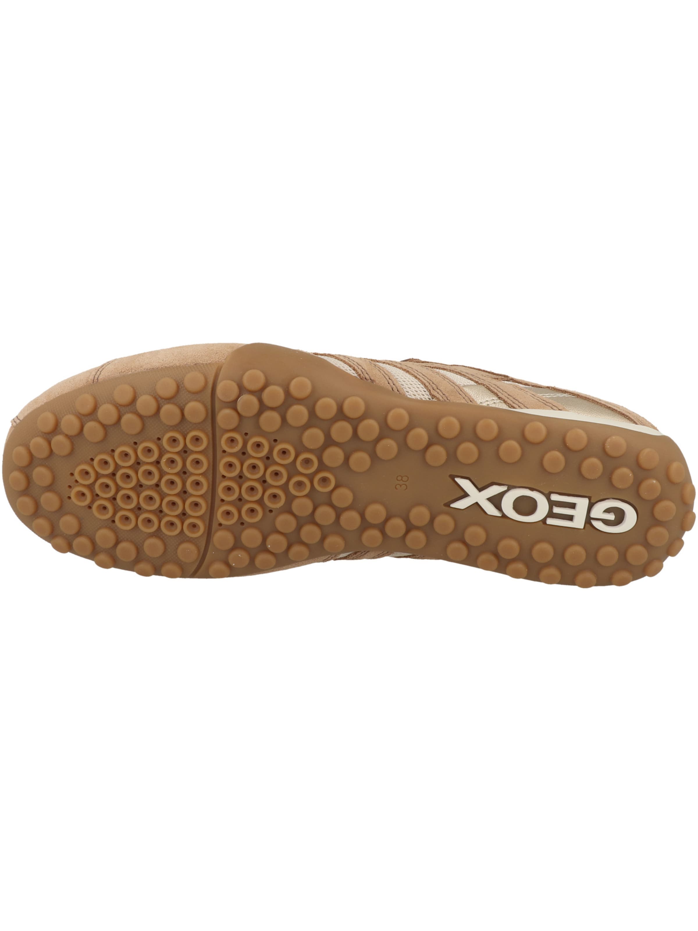 GEOX Sneaker 'Snake' in Braun