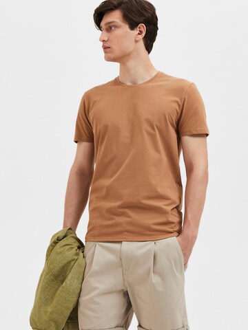 T-Shirt 'AEL' SELECTED HOMME en marron