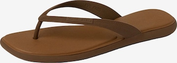 REEF Zehentrenner 'Water Willow Malibu' in Braun: Vorderseite